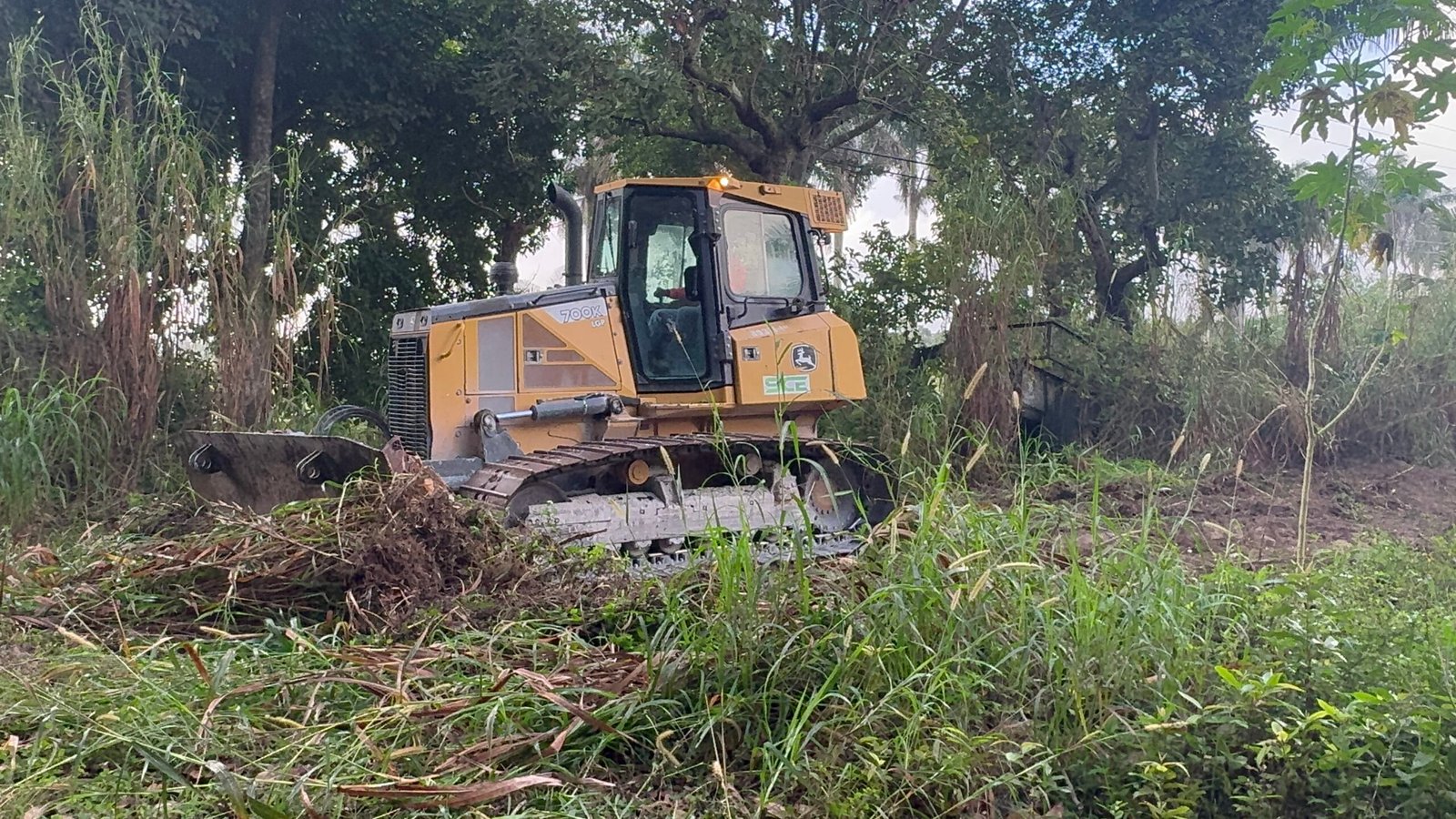 land-clearing-miami-florida