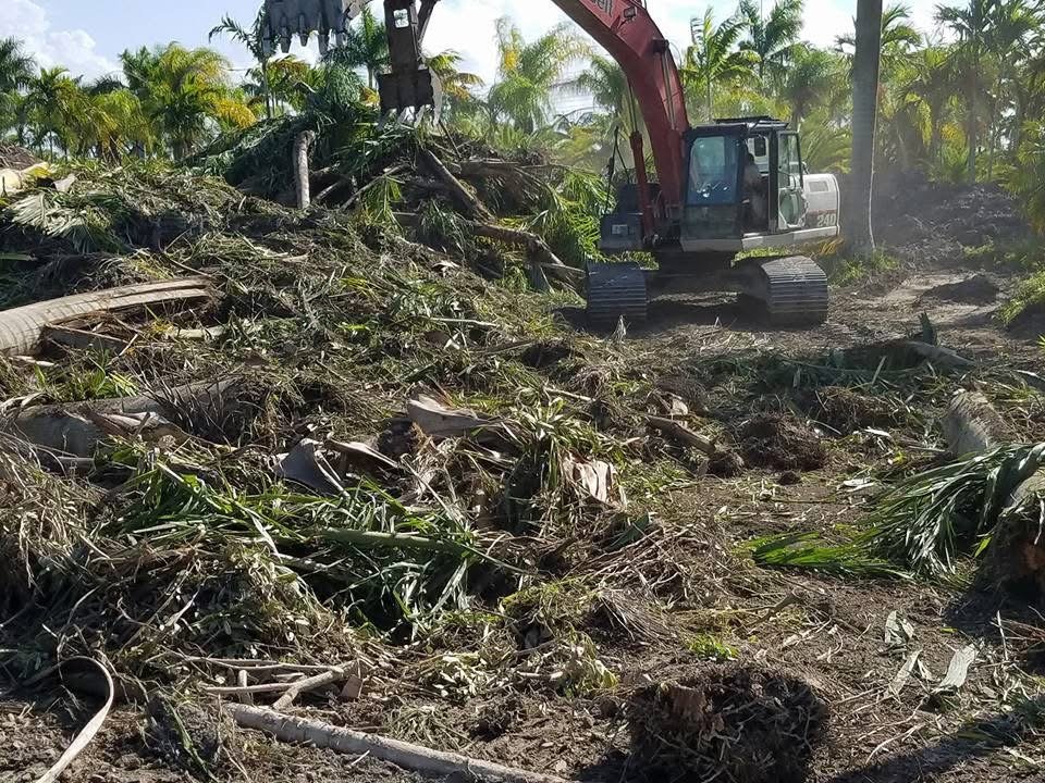 Earthwork Miami
